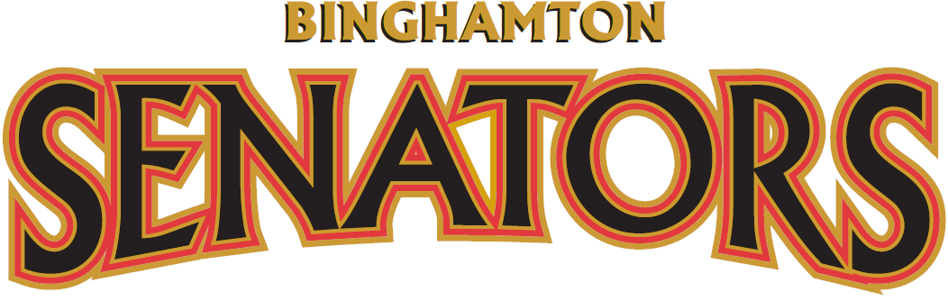 Binghamton Senators 2002 03-Pres Wordmark Logo iron on transfers for T-shirts